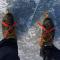 The Dutch Ice Fever