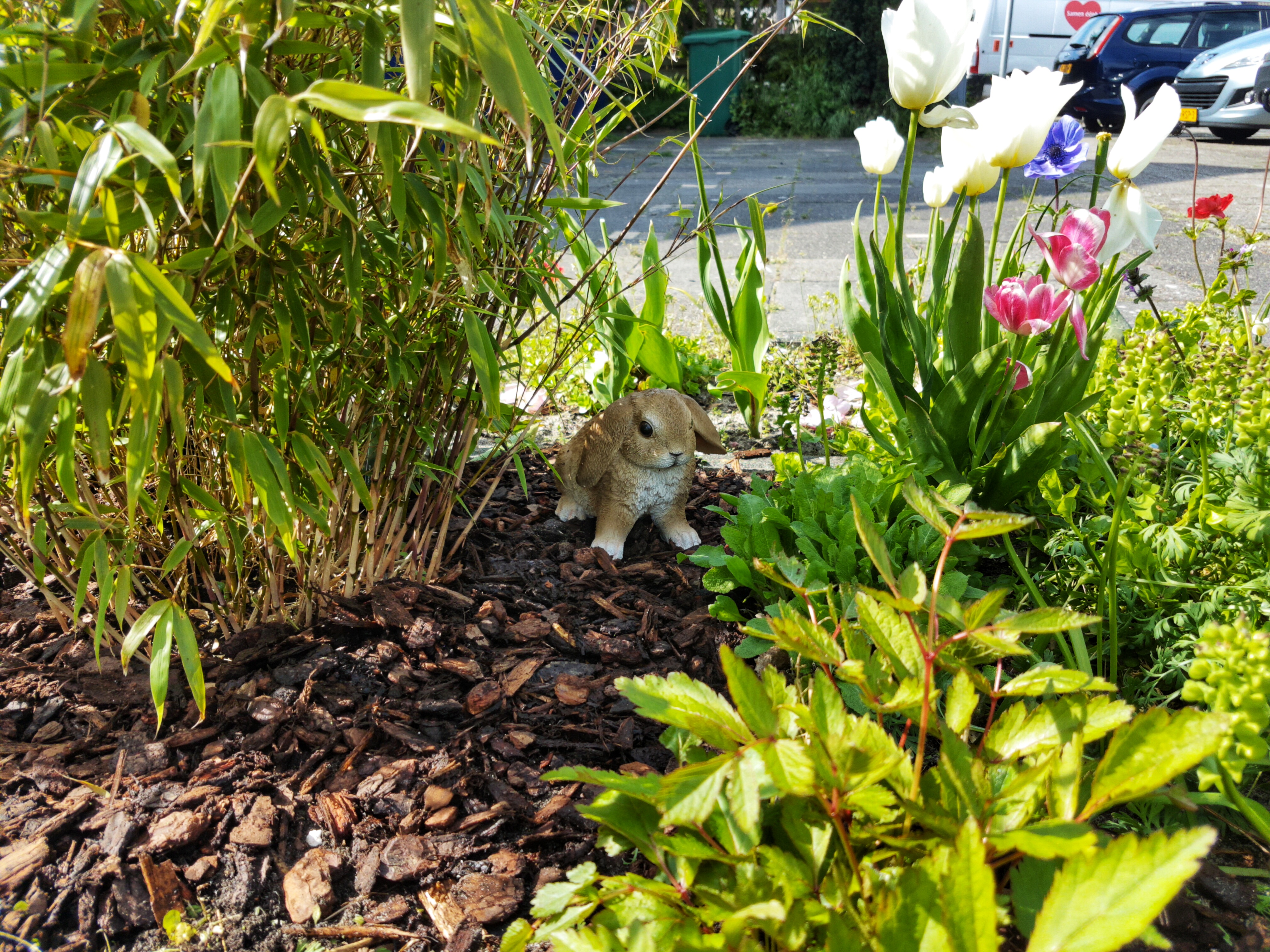 Bunny statue next to bamboo standing on mulch