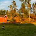 Töllås Fårgård
