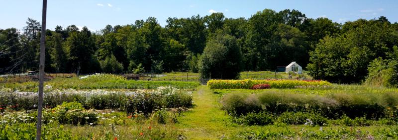 Featured image of post Rosendals Trädgårdskafé