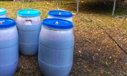 Featured image of post Blubb - Fermentation of Elderberries
