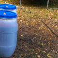 Blubb - Fermentation of Elderberries