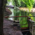 Waterloopbos