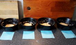 Featured image of post Experimenting with flour hydration levels