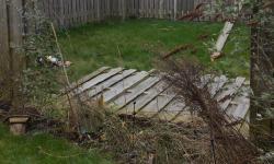 Featured image of post Storm Eunice