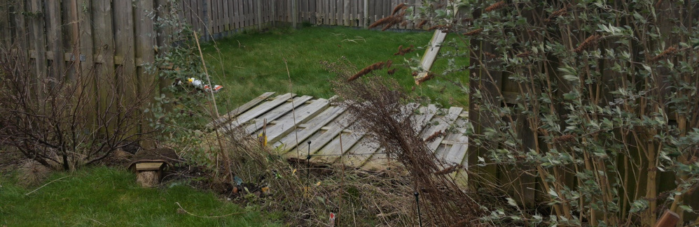 Featured image of post Storm Eunice