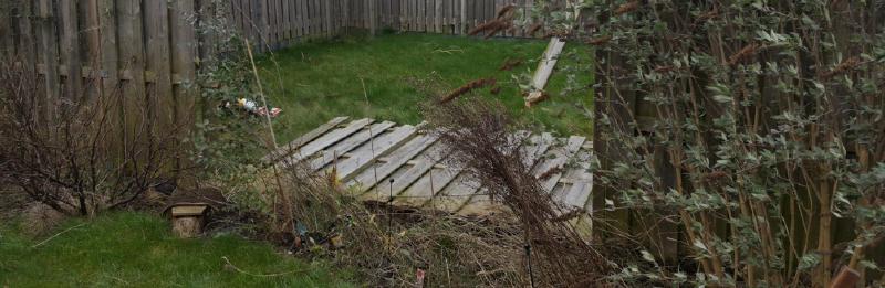 Featured image of post Storm Eunice