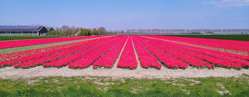 Featured image of post It's this time of the year again