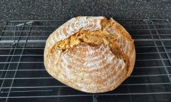 Featured image of post phoenix' bread formula v1.1