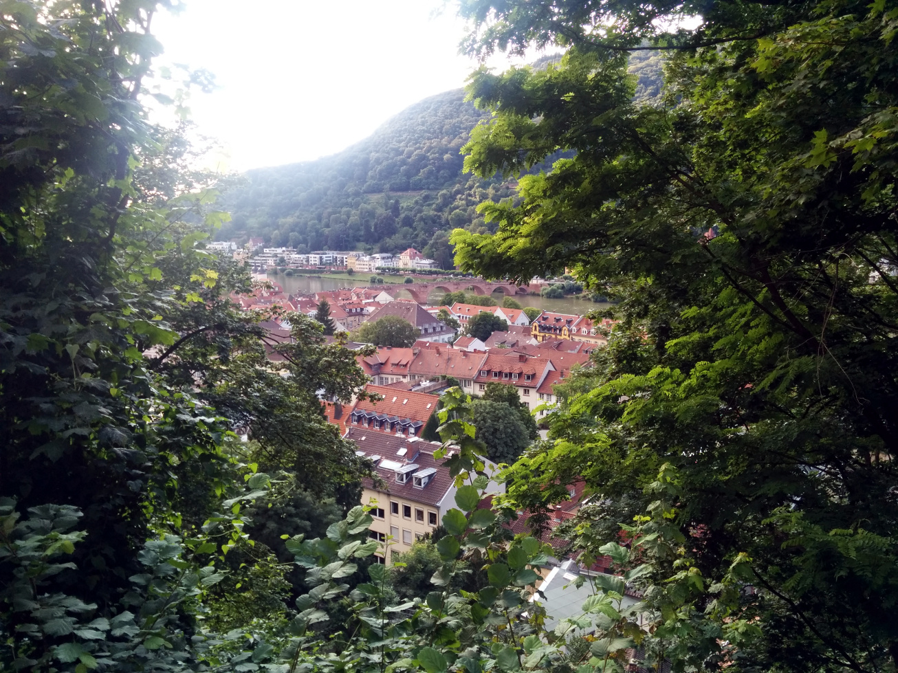 Featured image of post Heidelberg - Gamma 2016 conference