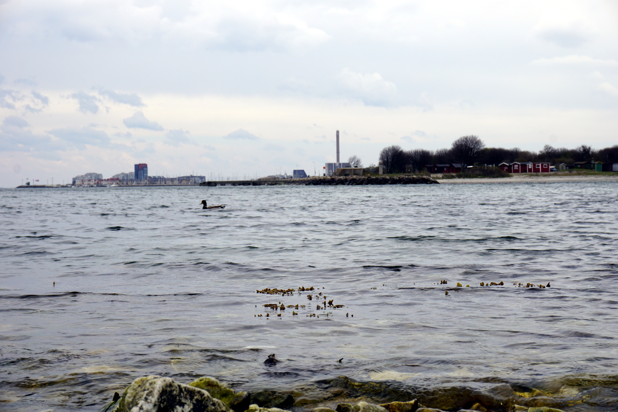 Malmø