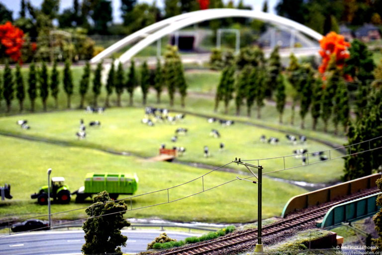 Featured image of post Rotterdam: Mini World