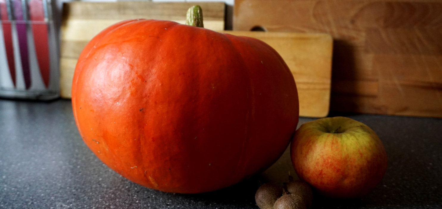 Featured image of post Our proud pumpkin