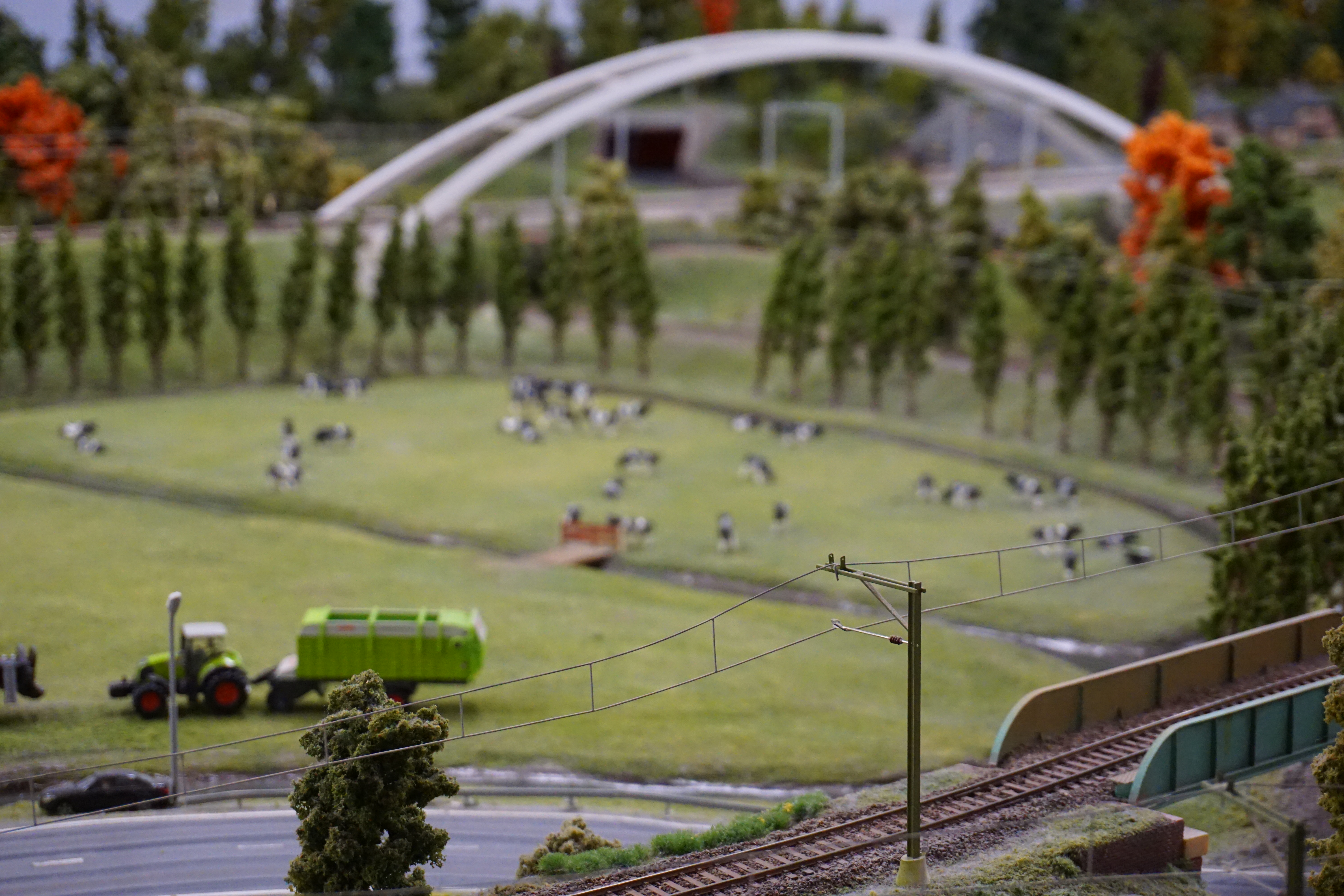 Dutch farms