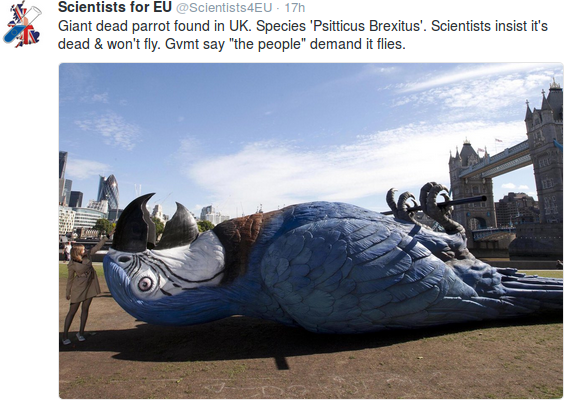 Giant dead parrot found in UK. Species ‘Psitticus Brexitus’. Scientists insist it’s dead & won’t fly. Gvmt say “the people” demand it flies.