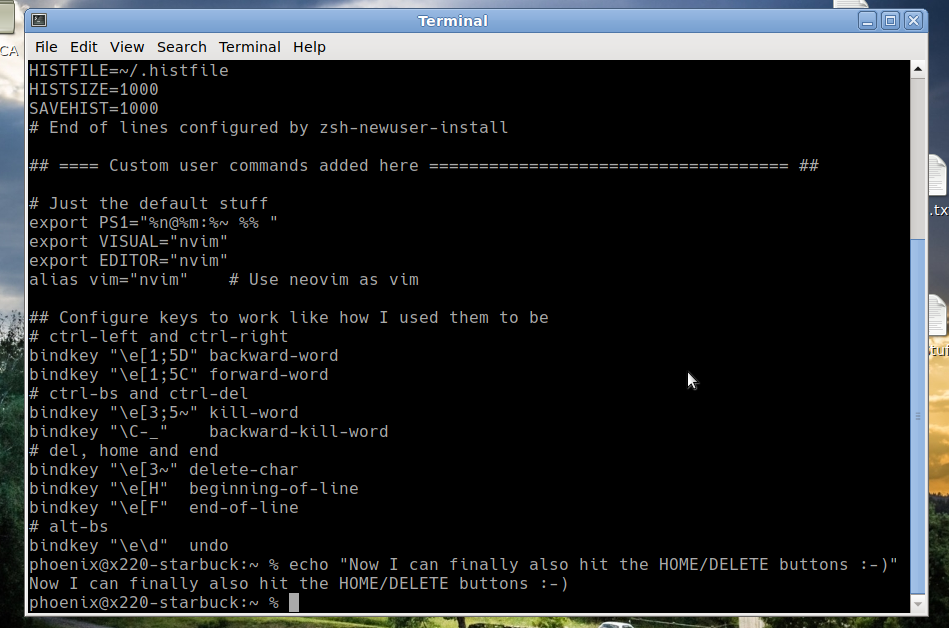 Featured image of post Zsh and Home/End/Delete buttons